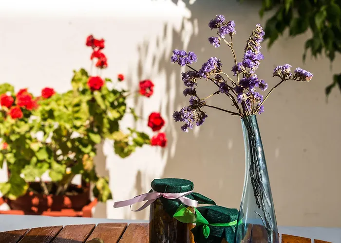 Appartamento Angie's