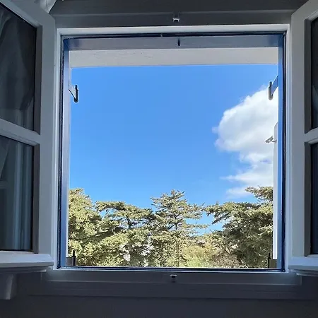 Angie's Apartment