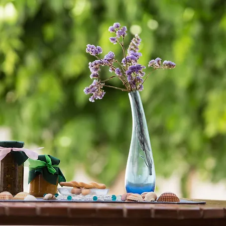 Angie's Apartment Parikia (Paros)