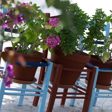 Angie's * Parikia (Paros)